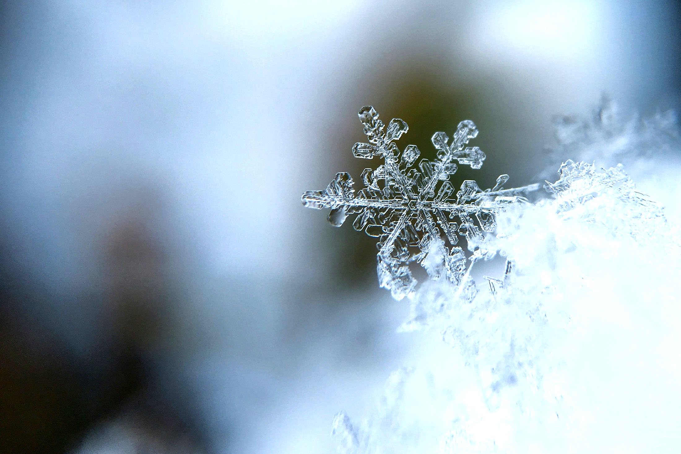 снежинка и снег