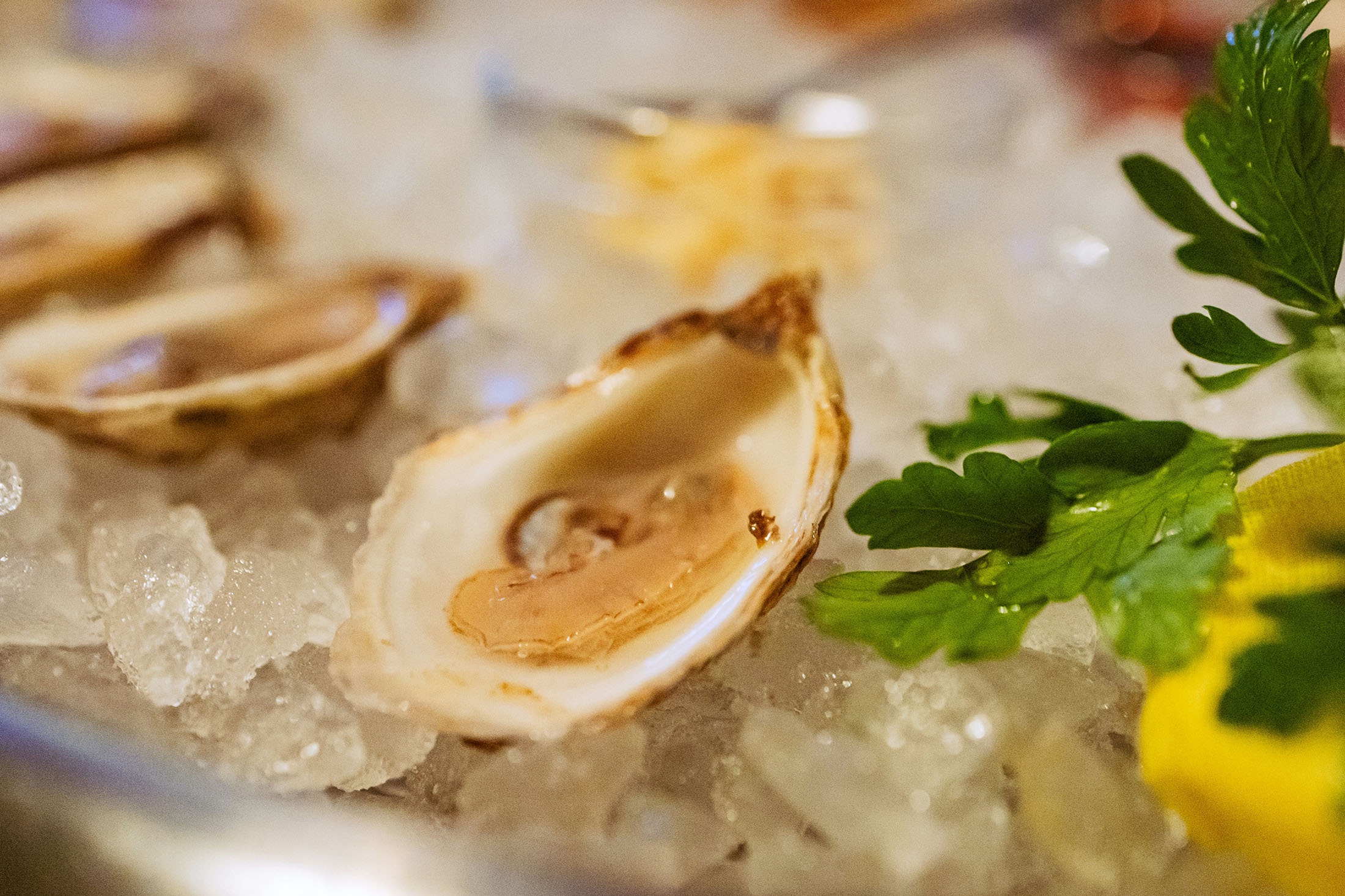 устрицы и гребешки