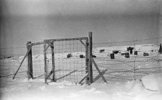 Как истребляли советских пленных в "Дулаге-205" - опубликованы архивы