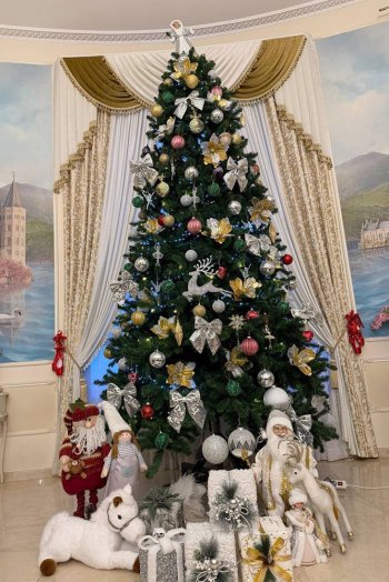  елка Анастасии Волочковой