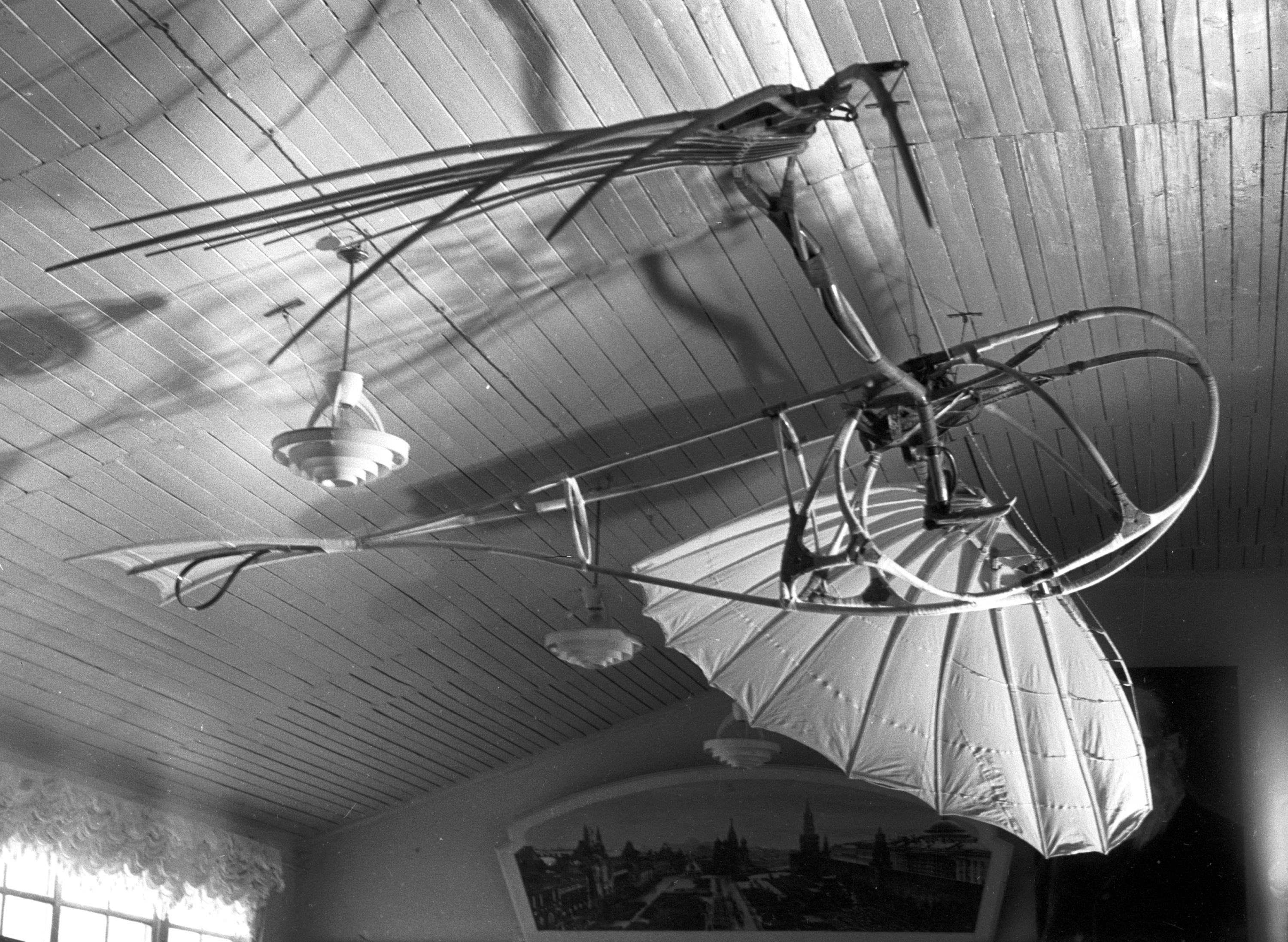 "Летатлин", безмоторный индивидуальный летательный аппарат, орнитоптер