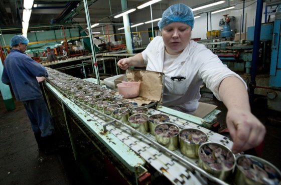 Шикотанских работодателей оштрафовали на миллион рублей