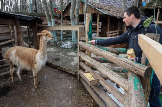 На Ставрополье зоопарки обратились за помощью к местным жителям