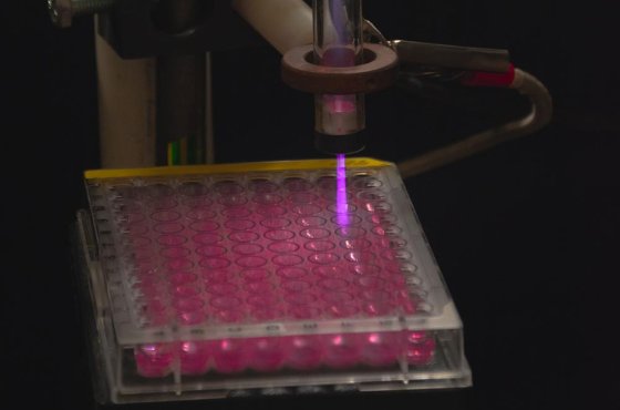 Новосибирские ученые предложили лечить рак плазмой