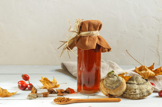 В Сибири обнаружили грибы, подавляющие COVID-19