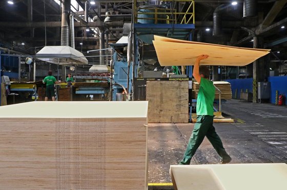 Почему закрываются магазины стройматериалов и товаров для дома, а кто продолжает расти