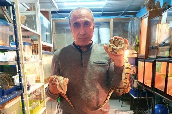 Житель Мариуполя открыл бесплатную выставку спасенных во время боев животных