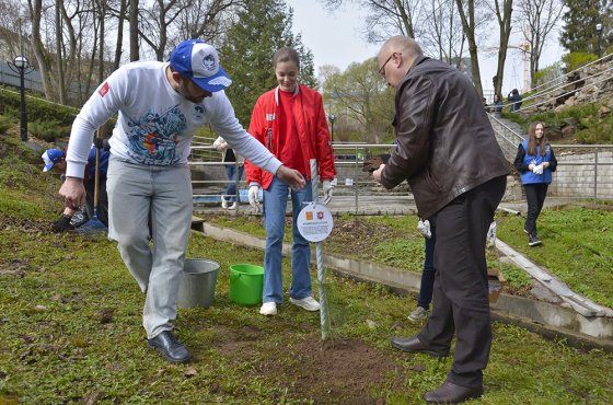 В год 650-летия Кирова в городе высадят около тысячи деревьев