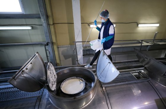 В Ярославской области займутся импортозамещением заквасок