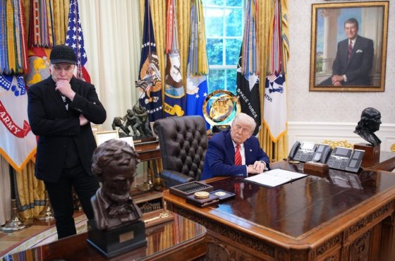 Война друзей. Как Маск и Трамп сошлись в "смертельном клинче" в соцсетях