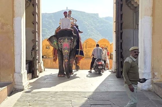 "Российская газета" завершила экспедицию "Наше открытие Индии"