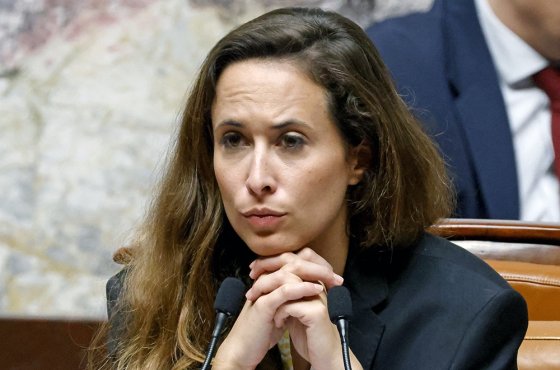 Вице-спикер Нацсобрания Франции внесла проект резолюции о выходе страны из НАТО. Кто еще предлагал покинуть альянс?