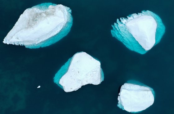 Станет ли Гренландия новой горячей точкой? История помнит, когда солдаты НАТО стреляли друг в друга