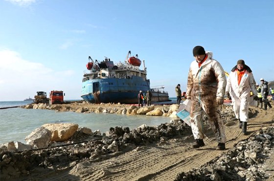Назван ущерб от гибели животных при разливе мазута под Анапой