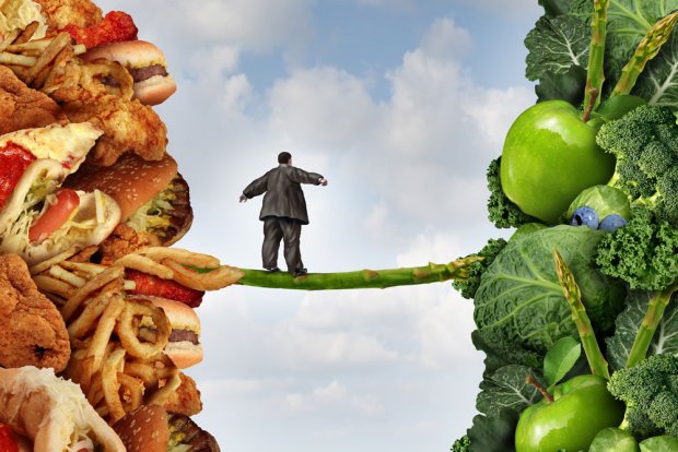 Зачем используют шрот расторопши: это важно знать каждому, кто заботится о здоровье