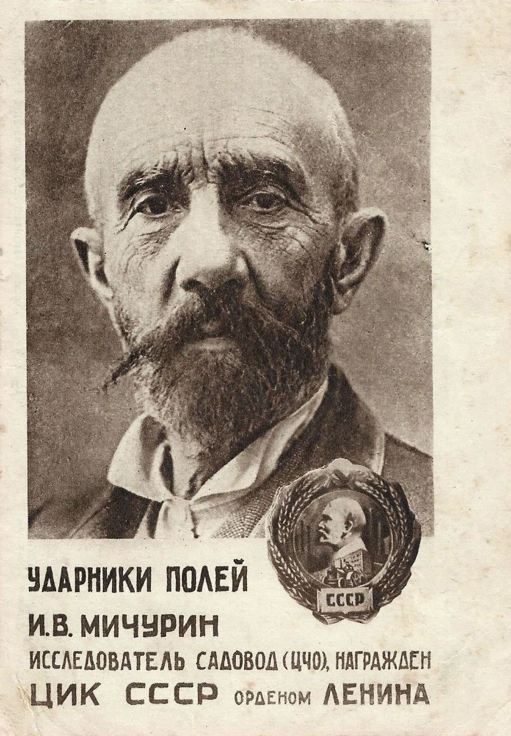 Открытка из серии "Ударники полей". 1933
