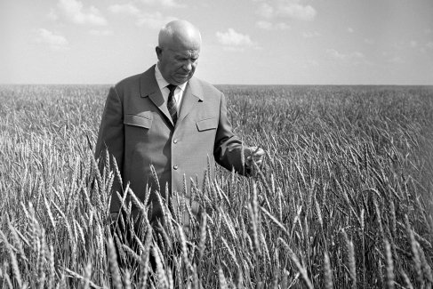 <div>14 августа 1964 года. Первый секретарь ЦК КПСС, Председатель Совета министров СССР Никита Сергеевич Хрущев во время посещения поля целинного зерносовхоза "Московский". </div>