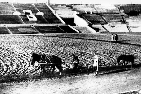 103 года спортивному обществу "Динамо"