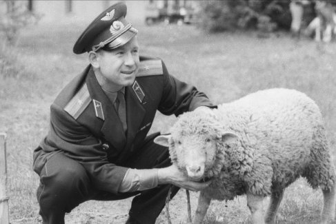 1964 год. Майор Алексей Леонов оценивает барана, подаренного советским космонавтам грузинскими чабанами. 