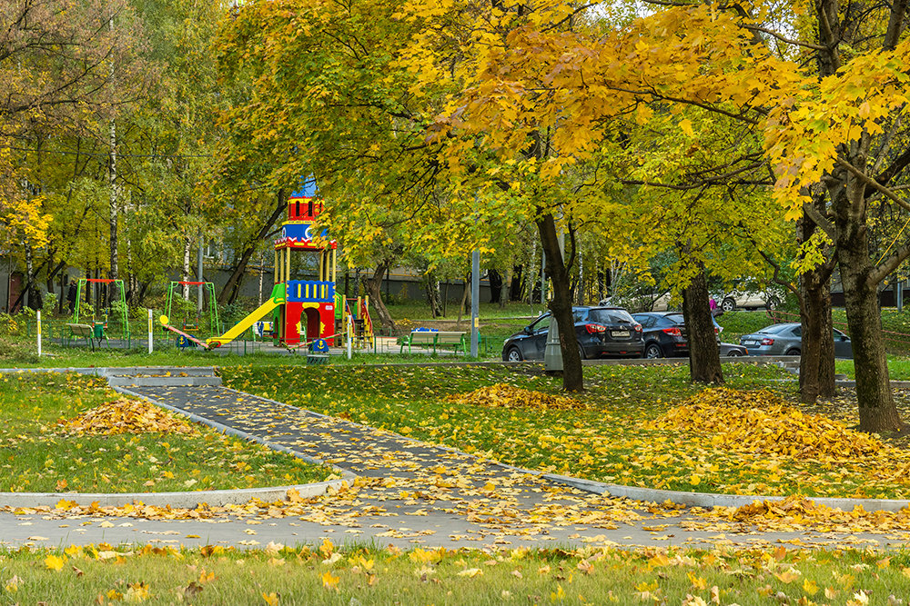 Аминьевский парк. Аминьевский парк. Аир парк аминьевское шоссе. Благоустройство вокруг дерева. Аминьевская матвеевский парк.