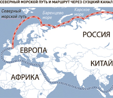 Увеличить инфографику