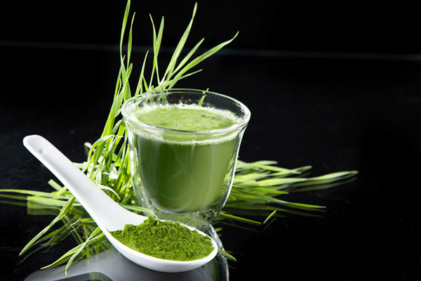 Спирулина. / depositphotos.com Спирулина. / depositphotos.com