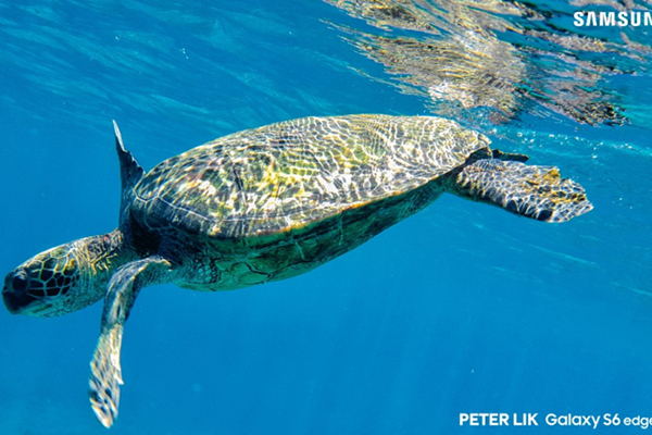 global.samsungtomorrow.com