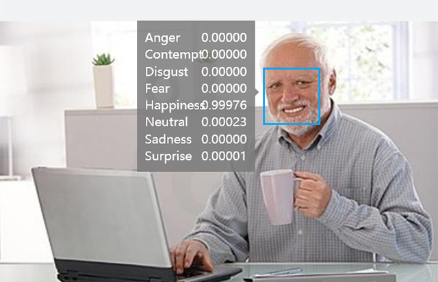 projectoxford.ai