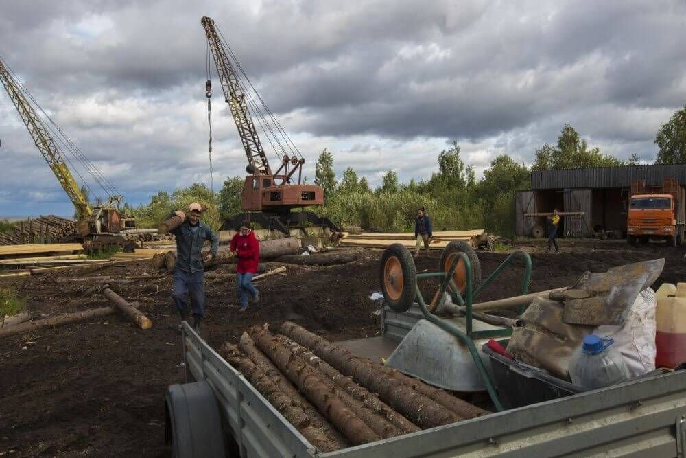 2017-й год. Волонтеры грузят бревна для сооружения мостков к затопленному храму. / Игорь Давыдов
