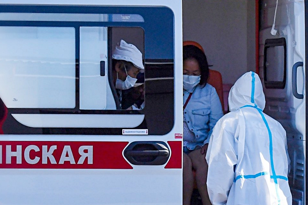 Животные зараженные бешенством. Убийство на миллион. Ветеринар. От животных человек заражается. Истребление флоры и фауны.