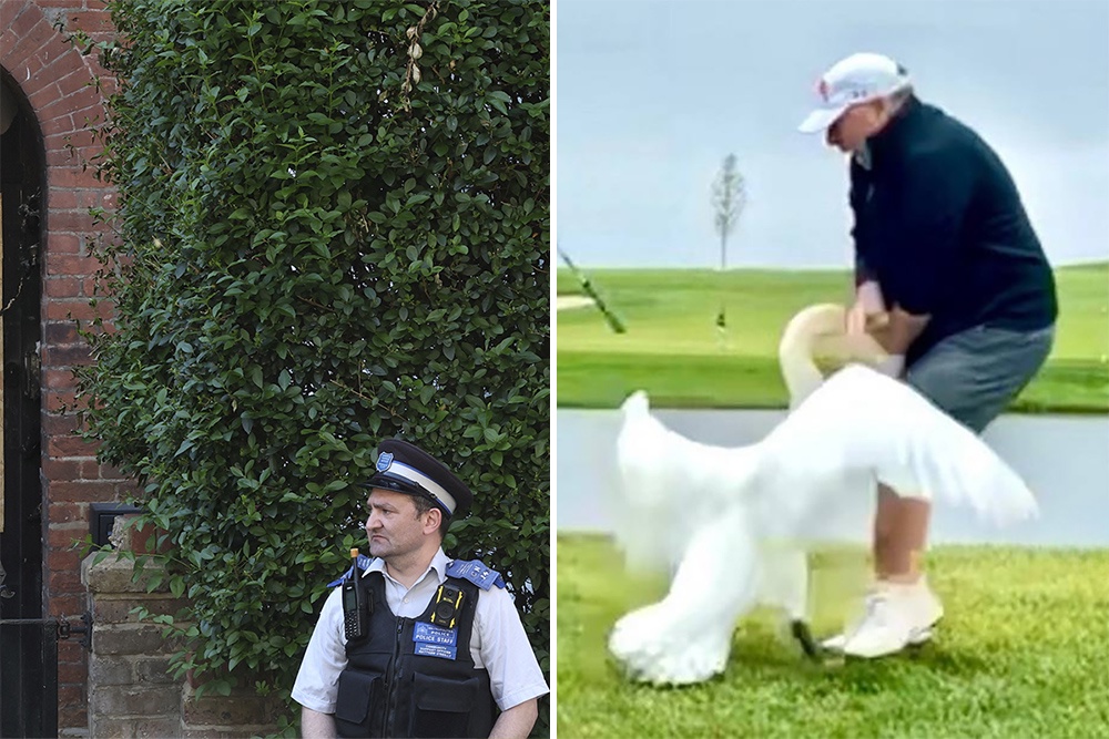 Британская пресса до сих пор обвиняет Россию в поджоге дома Стармера, несмотря на то, что задержанные преступники - "начинающие модели" из Украины. И только нападение лебедя на помощника президента США Стивена Уиткоффа пока не связывают с "рукой Москвы", несмотря на то, что Уиткофф участник переговоров по урегулированию ситуации на Украине. 