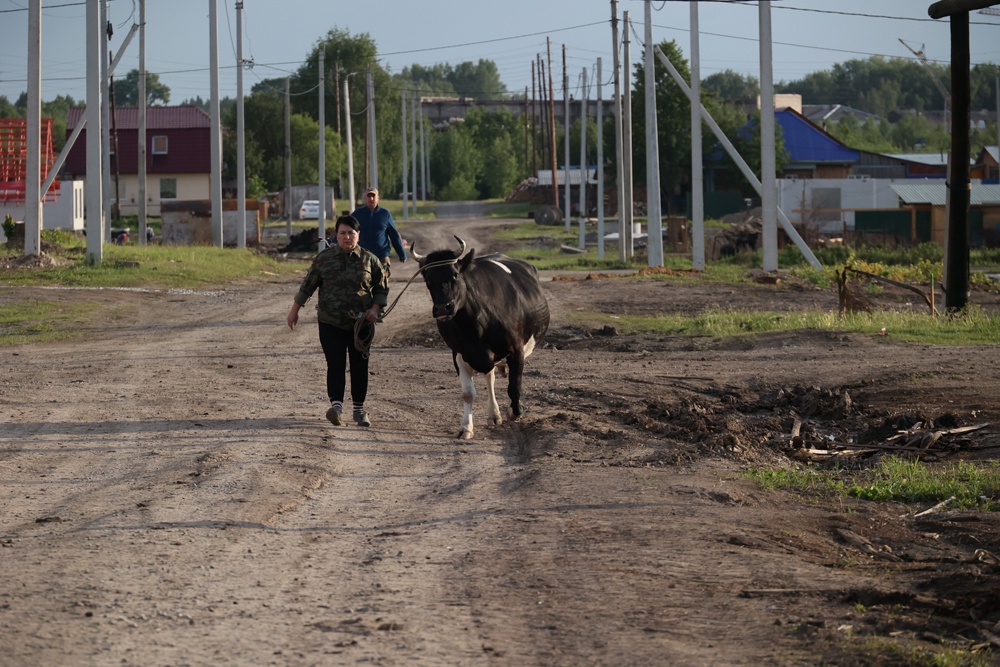 Цифровые профили сел и городов улучшат планирование развития Прикамья
