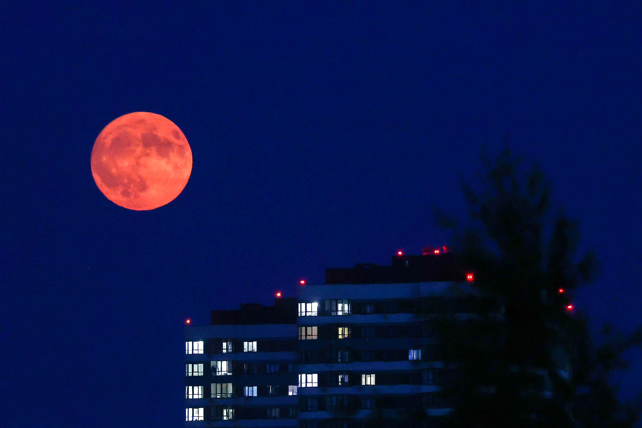 Рязань. Рязань.