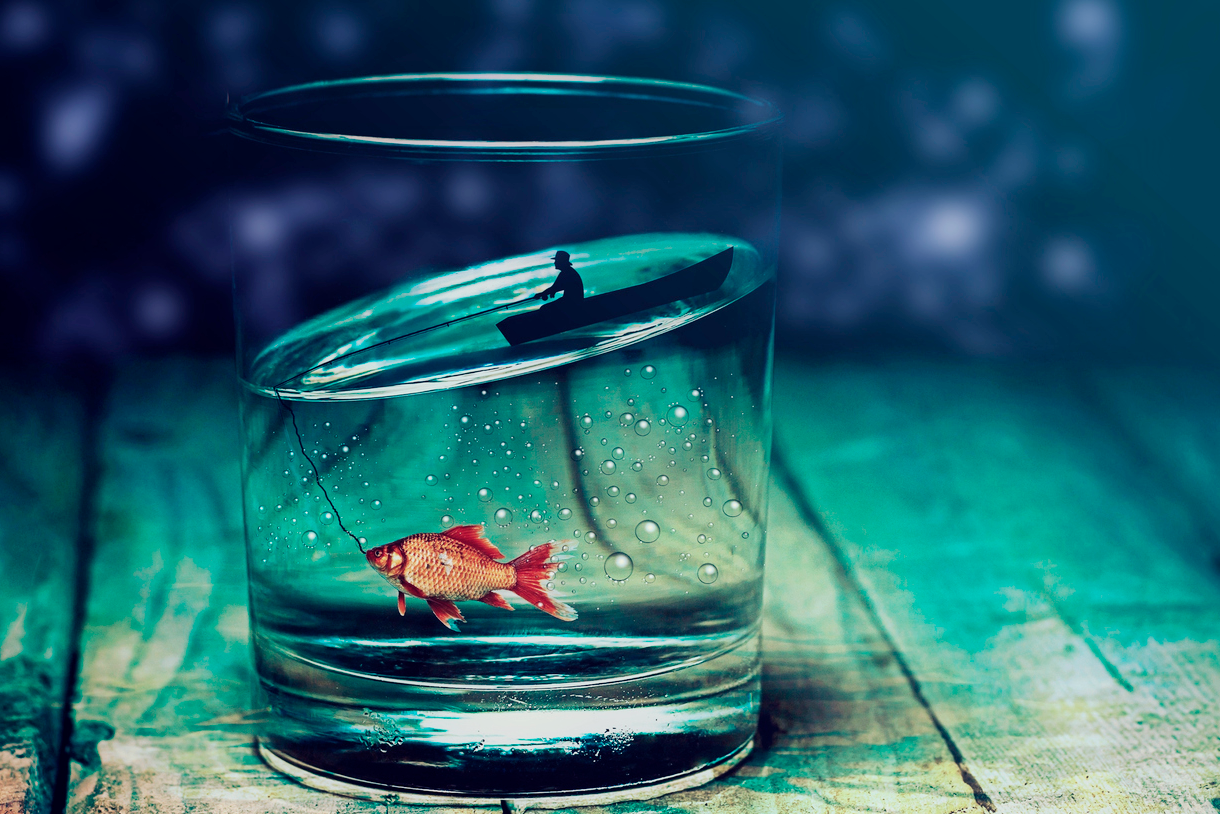 Если в обычный день приснилась рыба - жди плохих новостей или дождя, но в Петров день сон про рыбу сулит богатство и достаток. Если в обычный день приснилась рыба - жди плохих новостей или дождя, но в Петров день сон про рыбу сулит богатство и достаток.