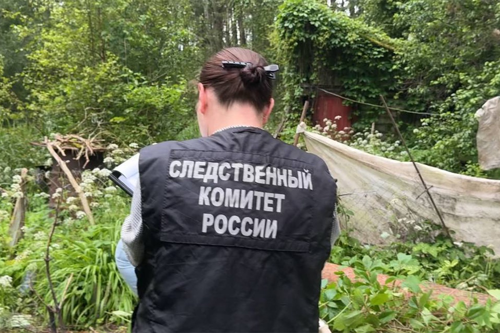 В Пскове упало дерево и убило дачницу