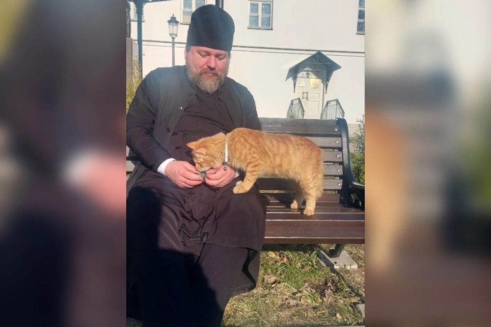 «Самого православного кота» нашли в Староладожском Никольском мужском монастыре