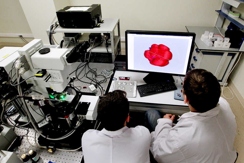 Дальневосточные ученые активно работают в различных областях науки, внося вклад в решение актуальных проблем макрорегиона и страны в целом.