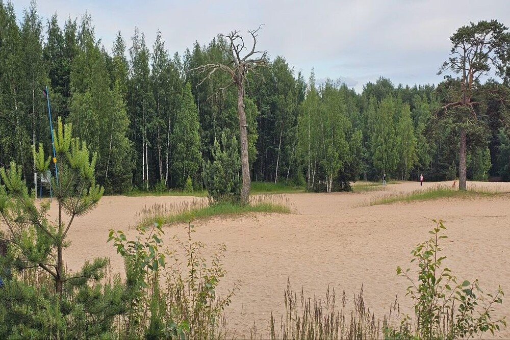 Белая гора - уникальная природная территория, которую благоустройство может испортить Белая гора - уникальная природная территория, которую благоустройство может испортить