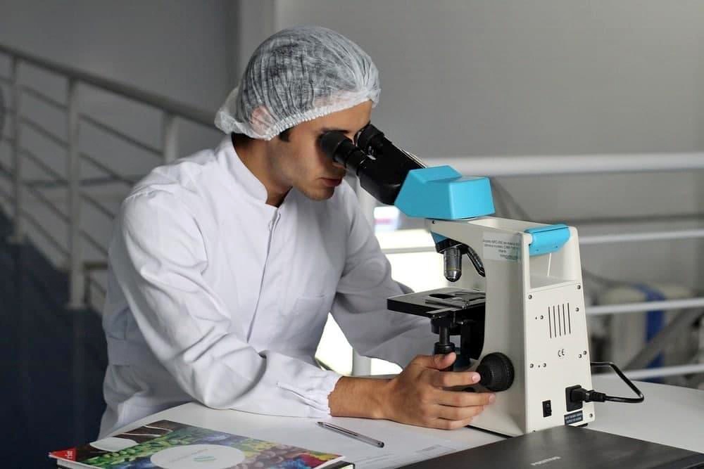 Эксперт Кузьмин: Опасные бактерии Vibrio могут появиться в морях на юге РФ