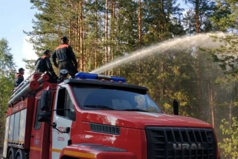 В Костромской области локализован лесной пожар в Парфеньевском районе