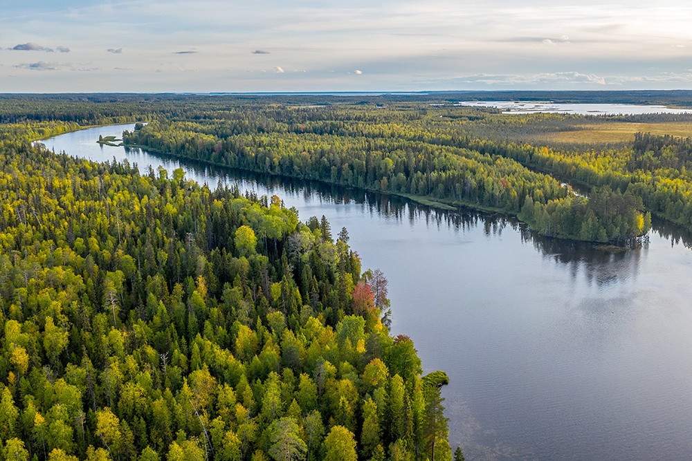Карельский пейзаж