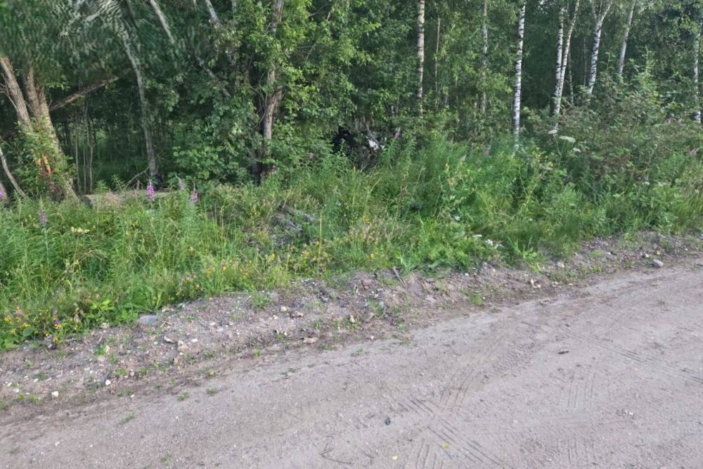 В Тверской области девочка разбилась насмерть на взятом без спроса квадроцикле