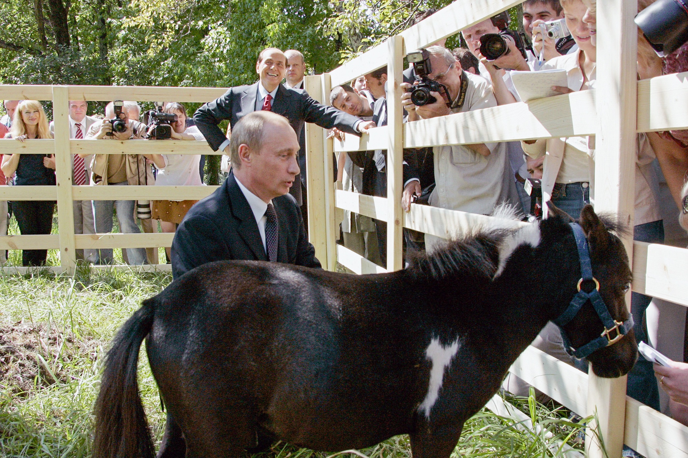 Пушистая дипломатия: каких животных дарили Владимиру Путину