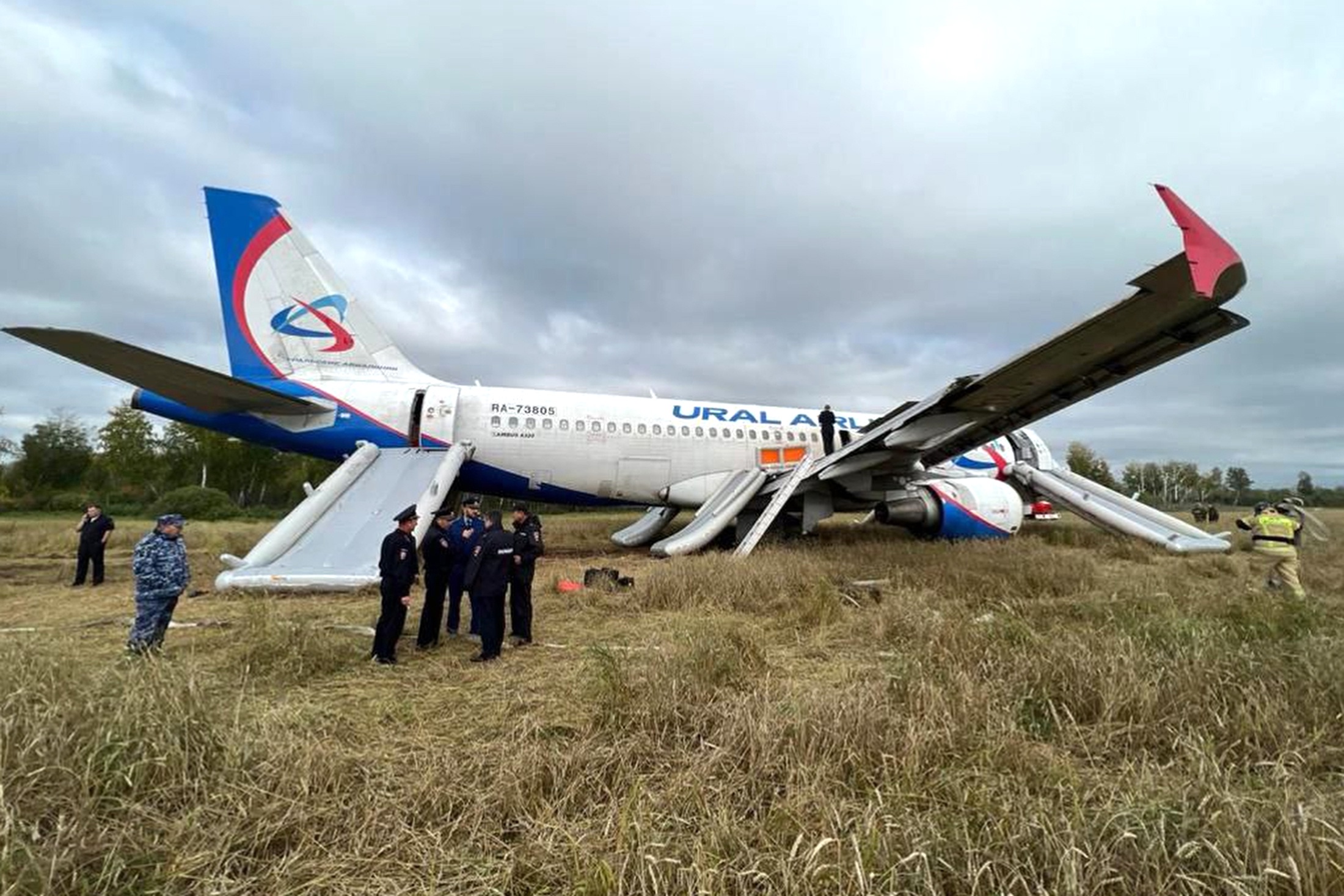 СК установил вину пилота, посадившего A320 в поле под Новосибирском