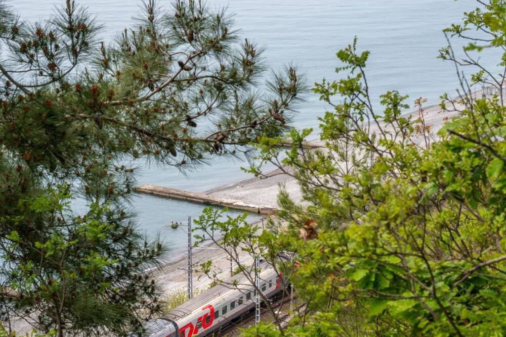 Дополнительный поезд на море запустили через Калугу, Тулу, Липецк и Воронеж