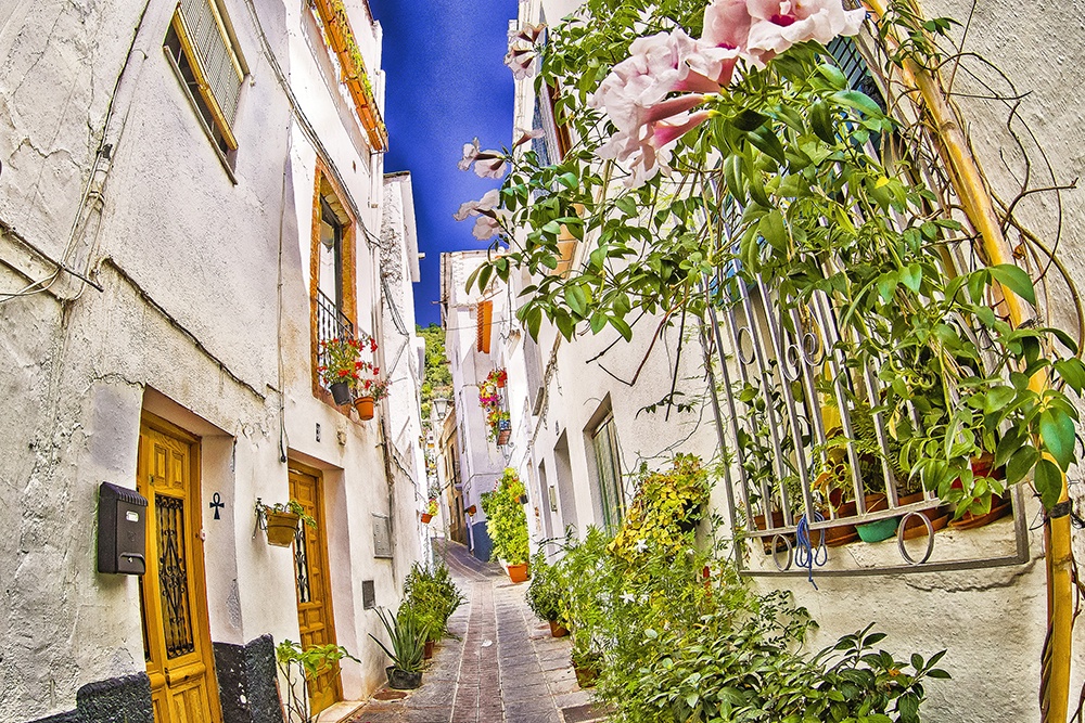 По данным ВОЗ, жизнь более 100 лет - обычное дело в Ланхароне. И указ тут ни при чем.