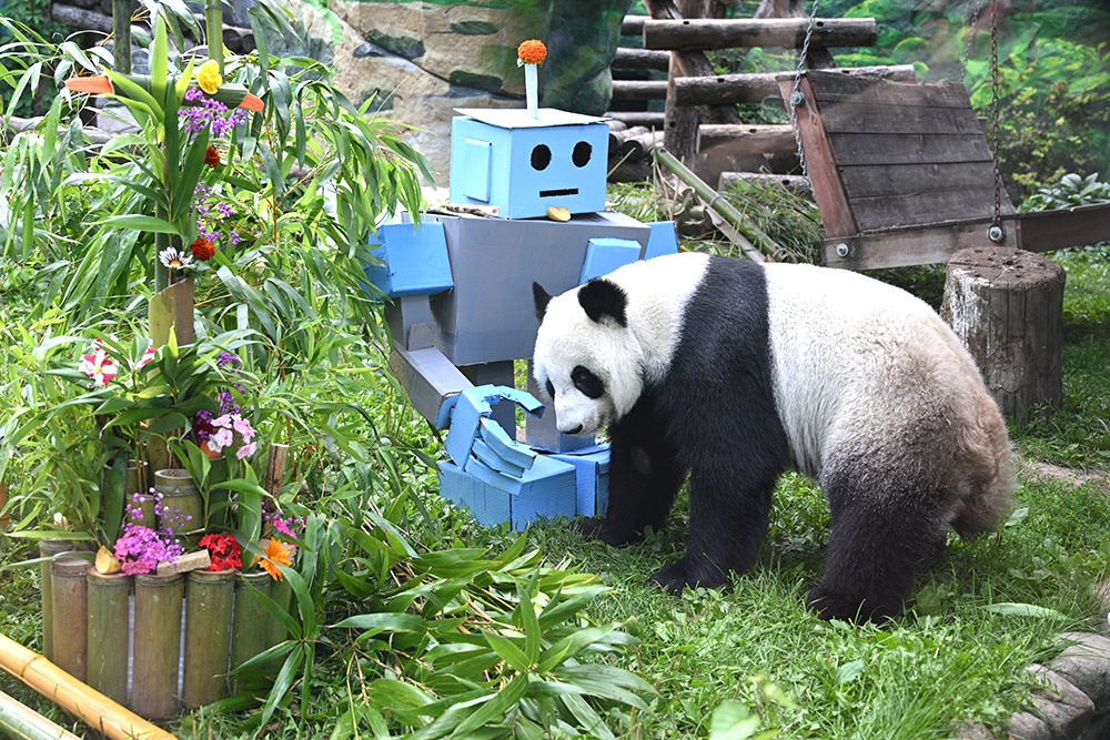 Кроме торта для Диндин сделали игрушечного робота из картона. Подарок понравился.