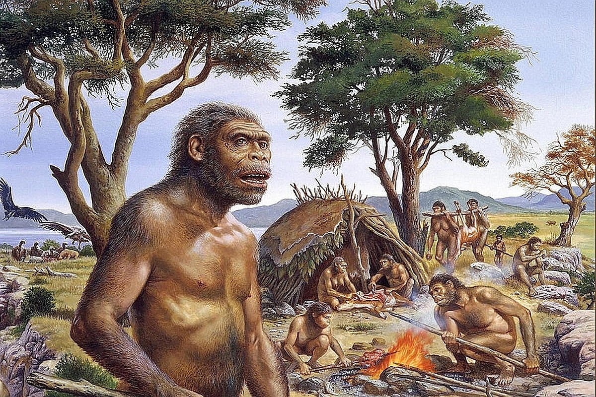 Зубы возрастом 300 000 лет, найденные в Китае, доказывают, что люди и Homo erectus скрещивались между собой. Зубы возрастом 300 000 лет, найденные в Китае, доказывают, что люди и Homo erectus скрещивались между собой.