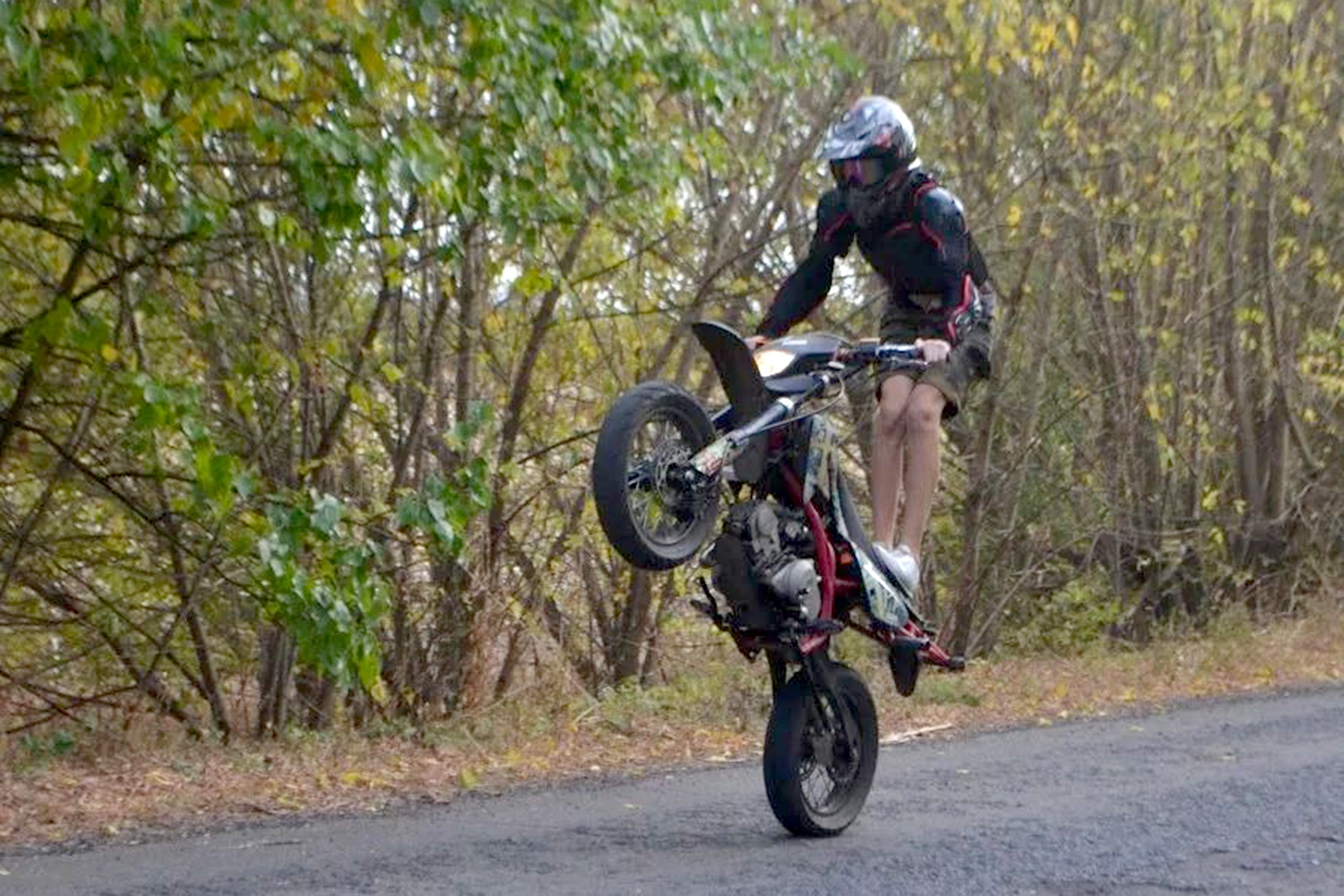 Леса не самая подходящая территория для отработки питбайкерских трюков, для этого лучше пользоваться специальными площадками. 