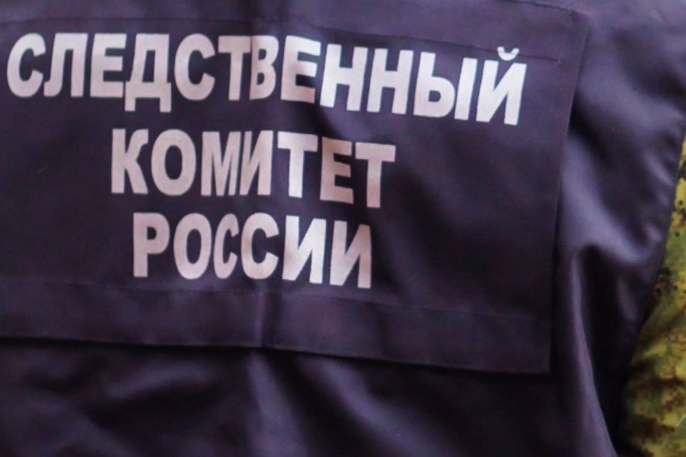 Москвича и ростовчанина будут судить за ложные доносы о терактах в Костроме